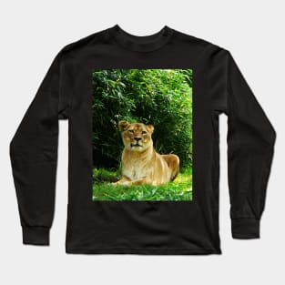 Lions - Lady Lion Relaxing Long Sleeve T-Shirt